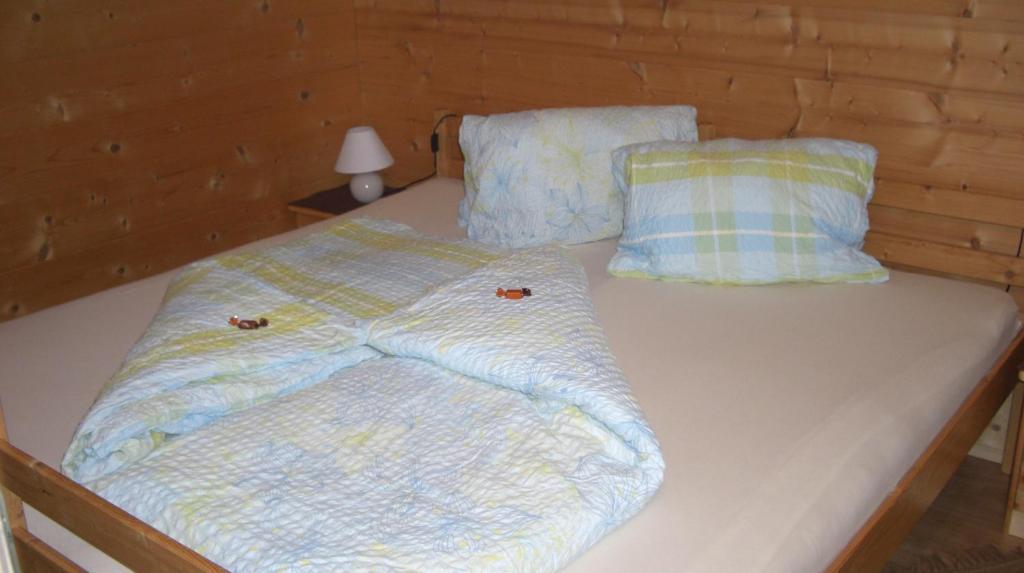 Appartement Leirer Alpbach Habitación foto